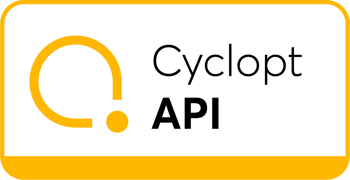 API Icon